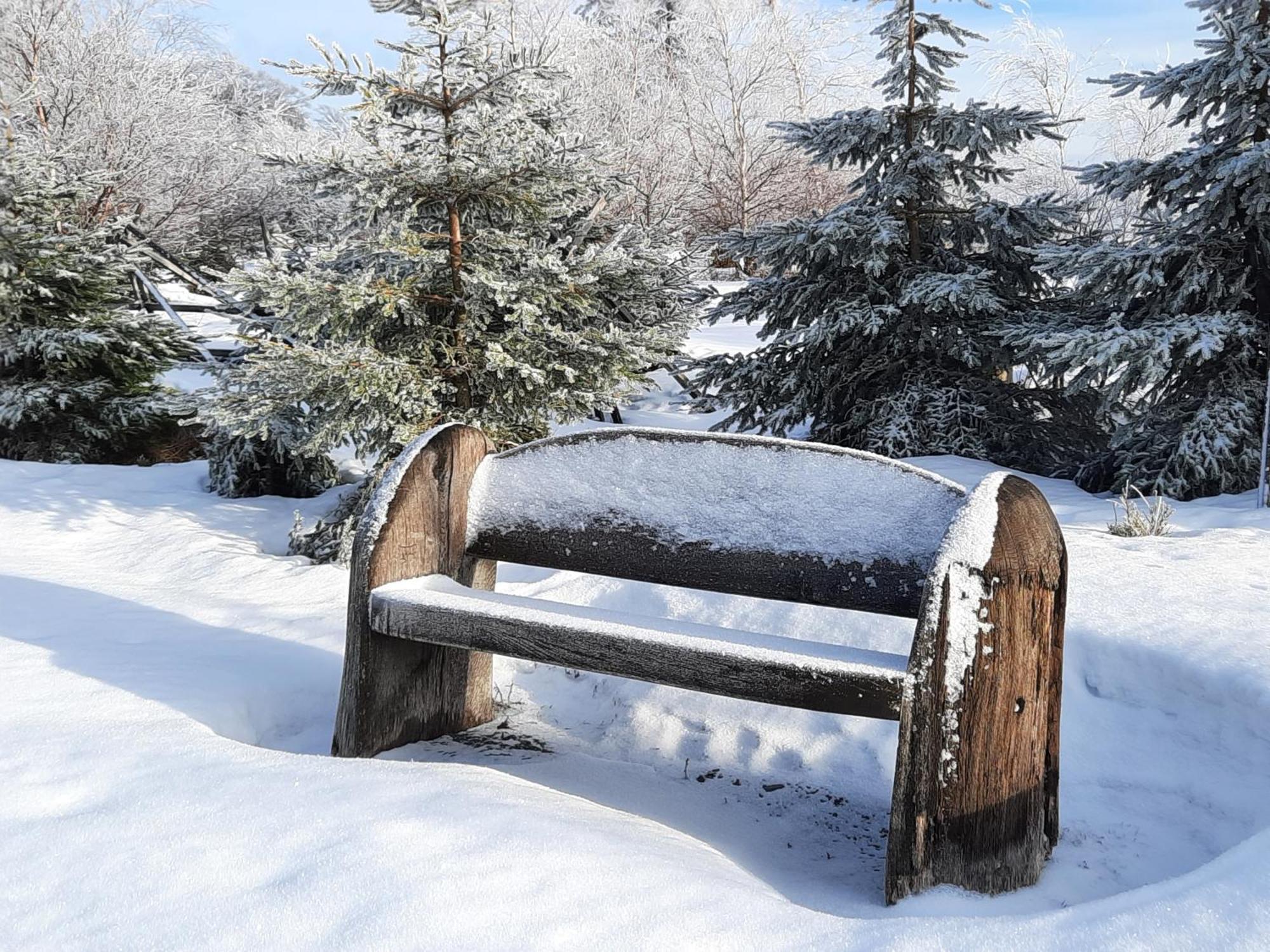 Cafe- Pension Fernblick, Incl Meinecardplus Willingen  Exterior foto